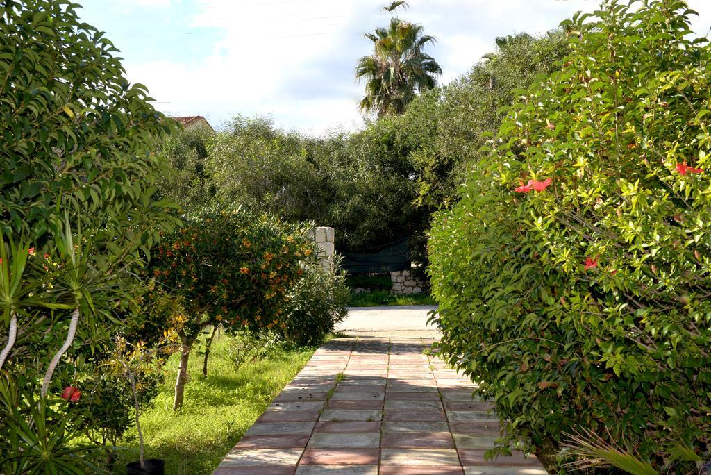 Andriani-Michalis Studios Vasilikos  Ngoại thất bức ảnh